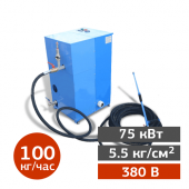 Аренда парогенератора Паргарант ПГЭ-100 в компании ГенПрокат