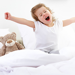 Озонаторы для очистки воздуха Озонаторы для очистки воздуха